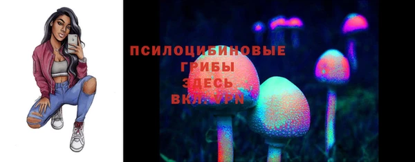 тгк Армянск