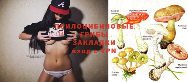 спиды Аркадак