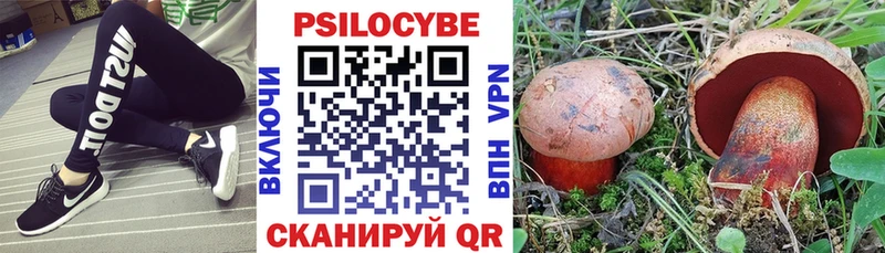 Псилоцибиновые грибы прущие грибы  Алагир 