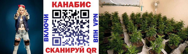 наркотики  Алагир  МЕГА ССЫЛКА  Канабис тримм 